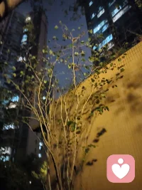 你不要一直后悔當(dāng)時(shí)的自己蠢，做錯(cuò)了事。其實(shí)你現(xiàn)在同樣蠢。如果不蠢，你又怎么會(huì)一直陷在后悔里不愿面對當(dāng)下和未來呢?

——葉斌配圖