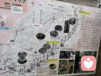 第一次徒步旅行，听溪水潺潺，鸟语松香，重启自身能量，开启一年新篇章配图