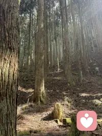 第一次徒步旅行，听溪水潺潺，鸟语松香，重启自身能量，开启一年新篇章配图