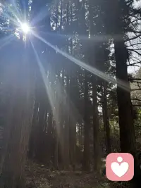 第一次徒步旅行，听溪水潺潺，鸟语松香，重启自身能量，开启一年新篇章配图