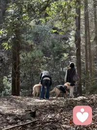 第一次徒步旅行，听溪水潺潺，鸟语松香，重启自身能量，开启一年新篇章配图