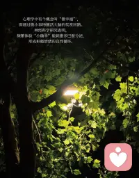 生活的意义往往藏在那些被认真对待的日常碎片里🥰