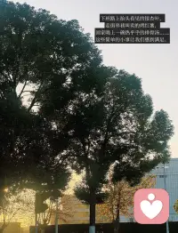 生活的意义往往藏在那些被认真对待的日常碎片里🥰