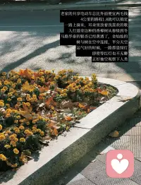 生活的意义往往藏在那些被认真对待的日常碎片里🥰