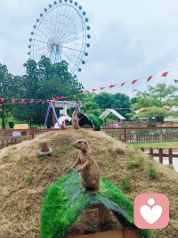 【麗娟心理傾聽師】
#天下大亂達到天下大治
?青春期是給孩子最后一次整合機會，這時期的孩子，看著表面風平浪靜，內在其實已過千軍萬馬。孩子青春各種各樣的問題，以及他各種各樣的折騰。實則是#大亂達到大治。配圖