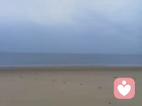 對于青春期孩子的父母巨大的挑戰(zhàn)是我們父母自己沒有真正的度過青春期，我們自身的這個(gè)部分讓我們討厭青春期的孩子能夠有他們的憂郁期、對抗期，讓我們迫切的想要幫他們找到解決方案配圖