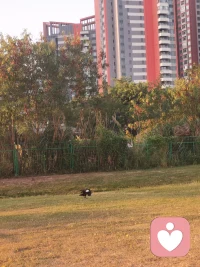 用心體驗(yàn)生命，帶著感恩和喜悅，正念正行，借事煉心，無所懼——相信一切是最好的安排配圖