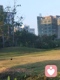 用心體驗(yàn)生命，帶著感恩和喜悅，正念正行，借事煉心，無所懼——相信一切是最好的安排配圖