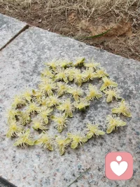 三種情感的狀態：
?1.抑郁是不好的事情已經發生
?2.焦慮是不好的事情將要發生
?3.恐懼是不好的事情正在發生
?往往這三種情感同時疊加，導致嚴重心理問題

情緒需要流動、需要被看見，及時情緒疏導很重要，可促進身心健康配圖