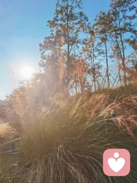 婚戀情感中， 人人都想如何去找一個好伴侶
?卻沒有想過如何成為一個好伴侶
?想找對的人，自己要先成為對的那個人配圖