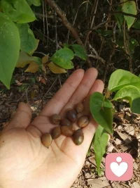 當我們在糾結和拉扯的時候，不要做任何決定，我們可以“等”一下，“等”什么呢？

“?等”就是不斷去梳理自己，去看見自己所有的需求，然后去整理自己的需求，對自己有更深一步的認識和理解，然后在用【選擇】來服務于自己[愛心]配圖