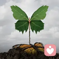 想過簡單的人生，可人生并不簡單。配圖