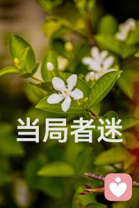 當局者迷，迷在何處？迷在自我的局限。因此，只有超越自我，方能成為一名清醒者。你敢說不在局中，不在迷嗎？配圖