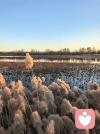 心理学上一直在讲接纳、接纳、接纳，这是很多人所欠缺的、需要的，但一味地接纳可能走向恃宠骄纵，认为全世界都是包容自己的，顺从自己的，所以要把真实的世界呈现给他，还要有不接纳。配图