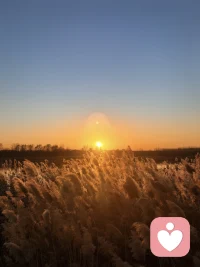 无奈的背后是期待与能力的冲突，所以会很难受。而无奈之后是接受，是适应，还可以是改变。向前走，我们才能抓住现实的手，脱离幻想，酿造成功。配图