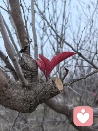 重男轻女的观念让父母超越亲情变成了施害者，让女性受到了伤。哎！我们谁又能超越时、空的局限呢？配图