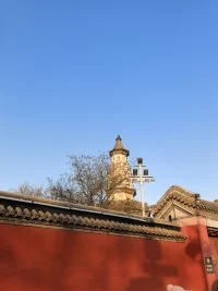 與原生家庭糾纏的時間越長，付出的代價越大，甚至?xí)且惠呑?。之所以糾纏，是因?yàn)椴桓市?，有期待，放不下，總想對方改變，總想要個說法，那是不平衡。其實(shí)，生活也好，人生也罷，最需要的是接受。配圖