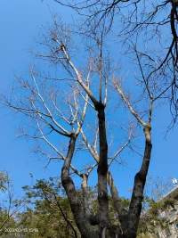 美好人生从自我主宰开始！相对于自主，那些对错、得失都不算什么。可许多家长却只看重后者，折断了孩子的翅膀。哎！配图