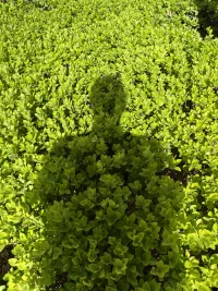 你希望别人怎么对待你，你就用这样的方式对别人，既使对方冒犯、攻去了你，也要努力坚持。如此，你就掌握了主动，做了自己，控制了互动的规则。这是修养，这是定力，这是韧性。配图