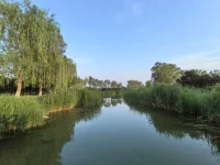 今天学到了：和，是尊重，是允许，是共存，是共生，是我是我，你是你，我们在一起。求同存异。