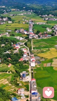 不要讓人貼標簽嚇唬自己，也不要自我貼標簽，所有的心理問題不論冠以什么樣的名稱，本質上都是成長不夠，去成長就好了。誰又能避開呢？成長是一生的事。成長實際上就是與時俱進，到那山唱那山的歌，到那時說那時的話。配圖