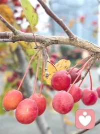 天時地利人和。天時不如地利，地利不如人和。在我們的人生歷程中，人和是最直接、最現實、最高頻的影響因素，也是我們最應該追求的。配圖