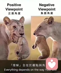 试试从学习和成长的角度，看待曾经和可能发生的一切。会怎样？配图