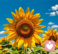 誤解了別人，第一是反省；被別人誤解，第一是寬容。配圖