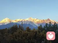 ‌“人类最美丽的命运、最美妙的运气，就是做自己喜欢的事情同时获得报酬。”‌——弗洛伊德。将兴趣与职业结合是最理想的生活方式。配图