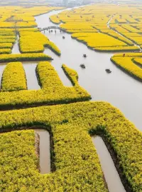 早安 親愛的小孩配圖