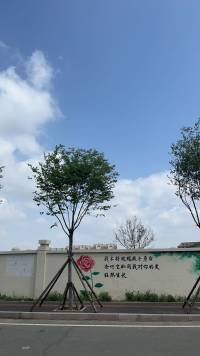 爱情是理解和体贴的别名（泰戈尔）‌