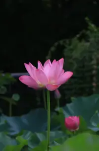 “婚姻不是愛情的終點，而是共同成長的起點。”配圖