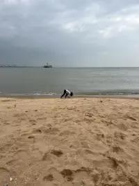 努力过后还是不行，就顺其自然配图