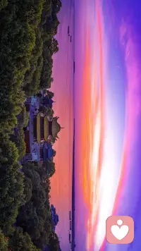 上午好☀️美好的一天从❤️心开始🌹