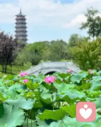 走得最慢的人，只要他不丧失目标，也比漫无目的地徘徊的人走得快。——莱辛配图