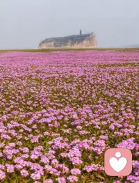 你值得被爱，也值得被好好对待。