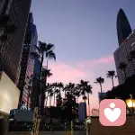 D調優雅的頭像