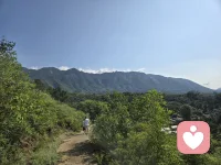 每個人的行為和信念背后都有他自己認為合理的正向動機,相信每個人做出的選擇都是當下他們 能力所及范圍內,為自己做出的最優的選擇。  
    理解他,支持他,才是你此刻 能做的最善良的決定。配圖