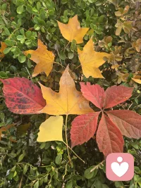 “不管你有多么喜歡一個人，都不要糾結她能陪你多久，或者能不能走到最后。因為我們來到這個世界上，朋友也好，愛人也罷，都是上天賜給我們最好的禮物，擁有過就好。”?在我們的人生里，會遇到形形色色的人，世事沉浮，人們匆匆地相遇，又匆匆地分開。有些人的出現，真的只是為了陪你走一段美好的路途。即便哪一天形同陌路，你也要知道，不必說再見，遇見過就好。配圖