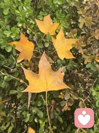 柏拉圖說：“人生最遺憾的，莫過于，輕易地放棄了不該放棄的，固執地，堅持了不該堅持的。”配圖