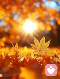 把自己活成一道光。
因為你不知道, 誰會借著你的光, 走出了黑暗。
請保持你心中的善良, 
因為你不知道, 誰會借著你的善良, 走出了絕望。
請保持你心中的信仰,
因為你不知道, 誰會借著你的信仰, 走出了迷茫。 
請相信自己的力量, 
因為你不知道, 誰會因為相信你, 開始相信了自己。 
原來我們每個人都可以活成一束光, 綻放著所有的美好。
?
?致自己配圖