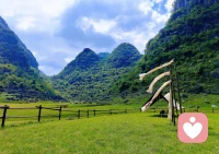 萬物都在治愈你，
大自然中有你想要的一切美好。配圖