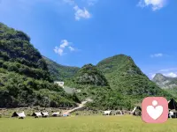 萬物都在治愈你，
大自然中有你想要的一切美好。配圖