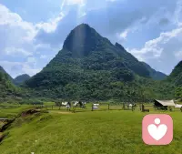 萬物都在治愈你，
大自然中有你想要的一切美好。配圖