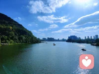 秋水長天，一色金黃配圖