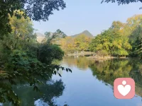 歲月靜花，時光未老配圖