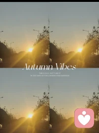 2024秋天最后一抺暖色。
愿大家：四季安康，歲歲如意配圖