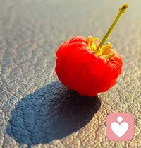 光影的世界
我們可以面對光，
也可以背光在影子里！
光和影子，都是我們的選擇！配圖