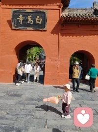 國慶去了白馬寺，祈福祝愿！我們每個人都能幸福快樂安康順利………配圖