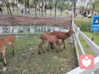金無足赤 人無完人，接受自己的普通！每個人都有自己的閃光點！過好自己，當下便是最好！配圖